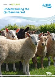 Understanding the Qurbani market